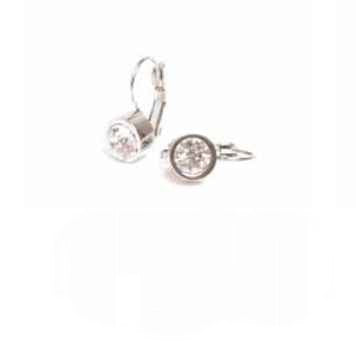 1046-0040 Earring - Steel Silver - Crystal Circle.*