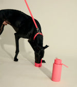 Pet Bowl Attachment - Neon Pink