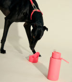 Pet Bowl Attachment - Neon Pink
