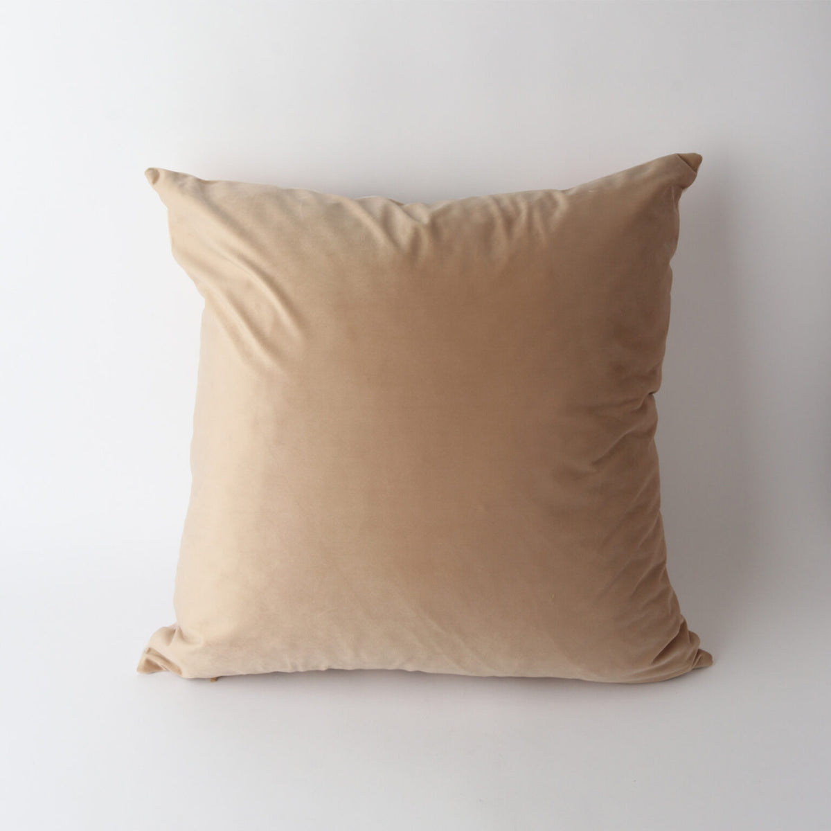 Art Cushion Velvet Coco