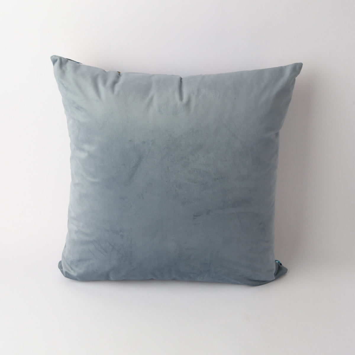 Art Cushion Velvet Queen