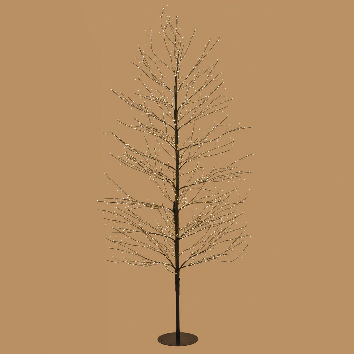 Black Willow Tree - 180cm