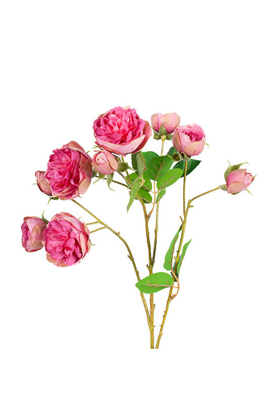 Bourbon Rose Spray - Fushia Pink