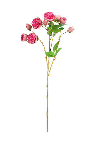 Bourbon Rose Spray - Fushia Pink