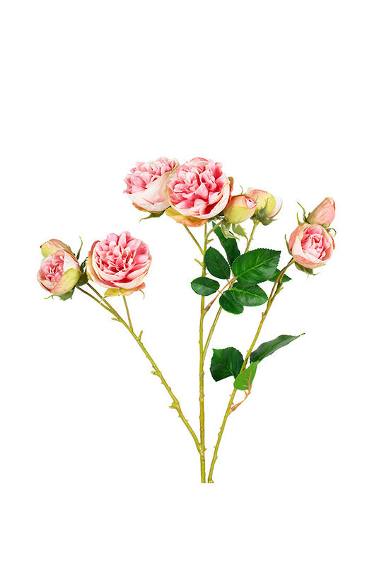 Bourbon Rose Spray - Soft Pink