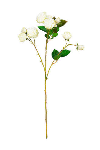 Bourbon Rose Spray - Soft White
