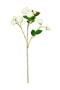Bourbon Rose Spray - Soft White
