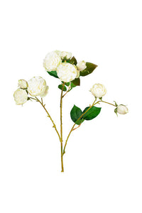 Bourbon Rose Spray - Soft White