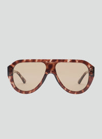 Cameron - Tort/Brown Sunglasses