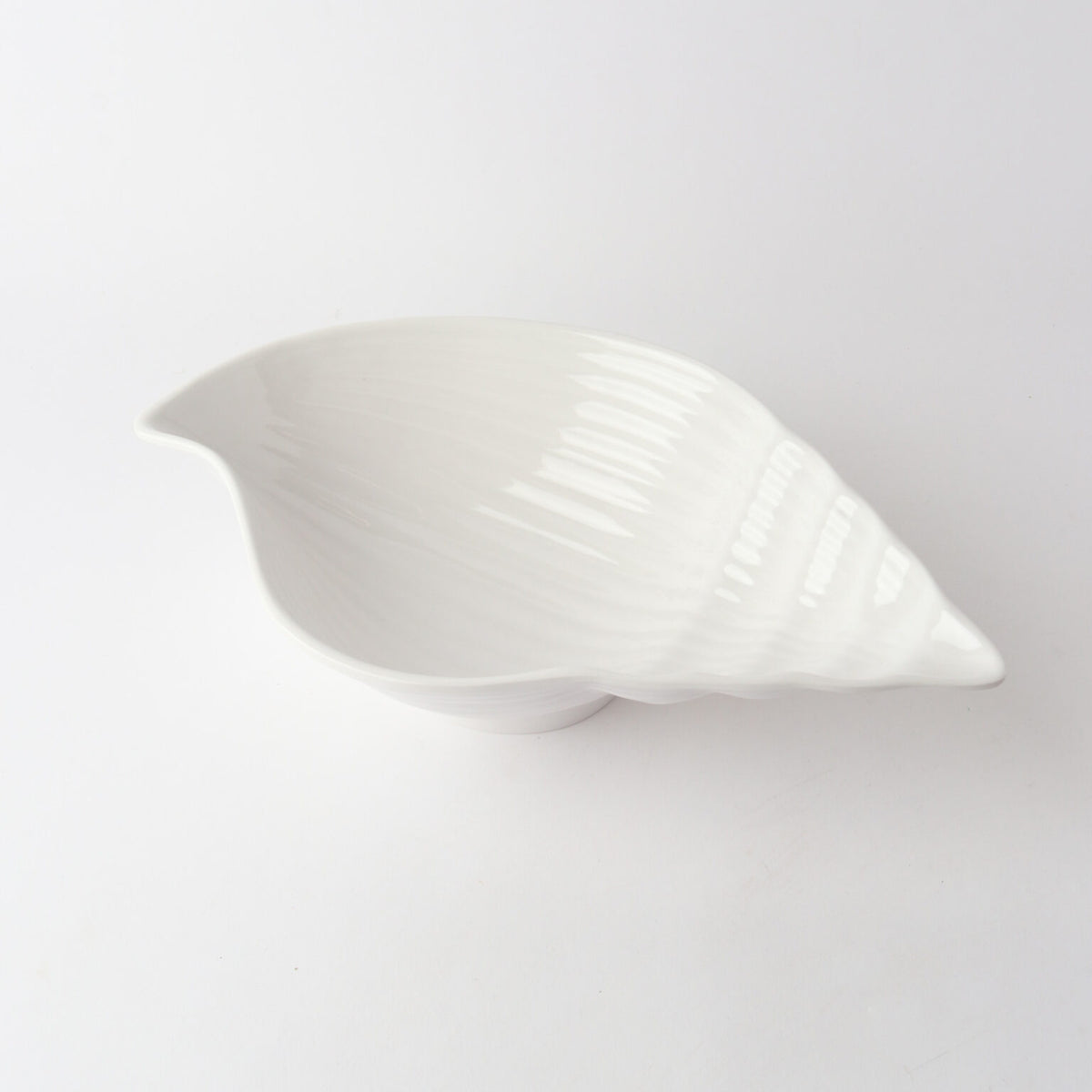 Melamine Conch Shell 40cm White