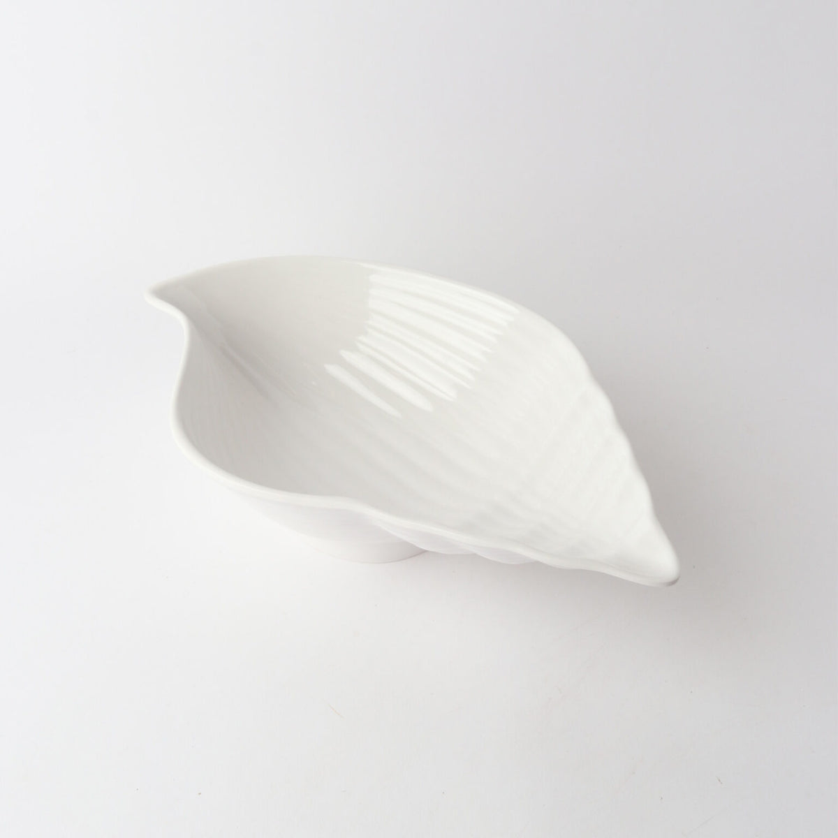 Melamine Conch Shell 40cm White