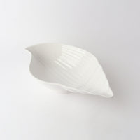 Melamine Conch Shell 40cm White