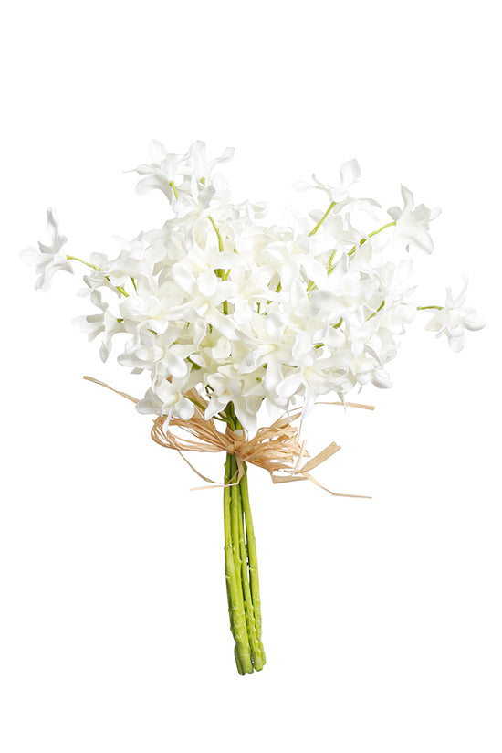 Dendrobium Bundle - White