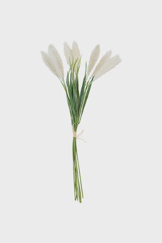 Setaria Bundle