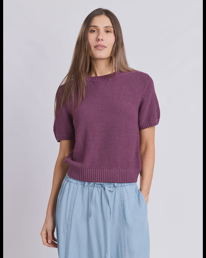Blair Short Sleeve Knit /  Plum