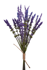 Lavender Bundle