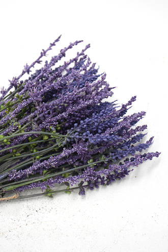 Lavender Bundle