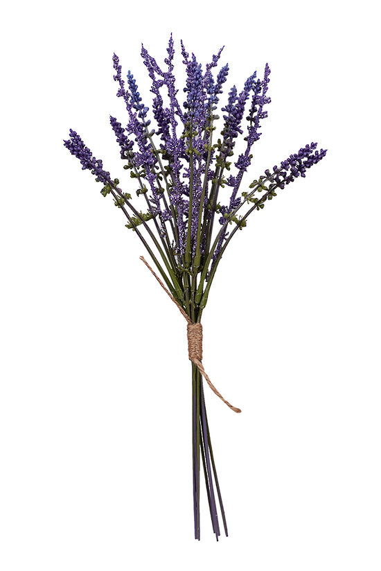Lavender Bundle