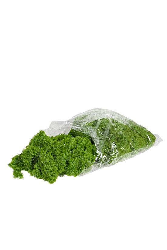 Moss Wool Bag 0.5 KG