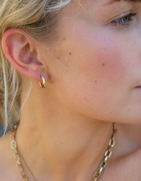 1046-0152 Pure Steel Earring - Diamante Sleeper