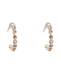 1018-1438 Vibrance Multicolour Creol Earring - Gold