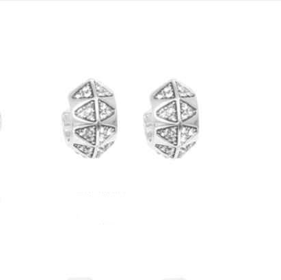 1018-1283 Earring silver shine bright*