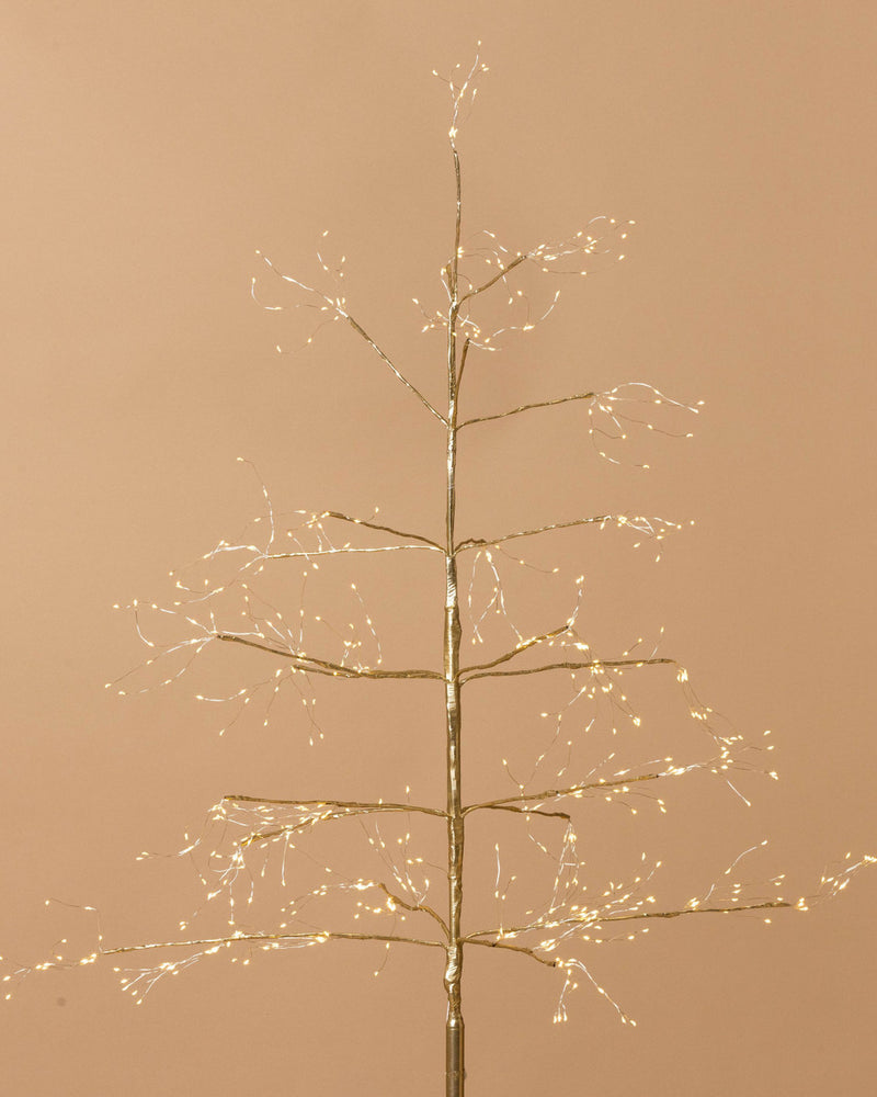 Arctic Birch Seed Light Tree - Tall - Champagne