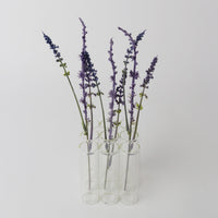 Test Tube 9pc Vase 3x3 10cm