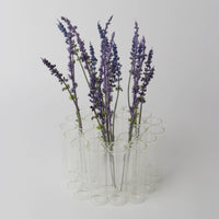 Test Tube 24pc Vase Round 10cm
