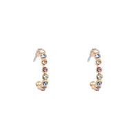 1018-1438 Vibrance Multicolour Creol Earring - Gold