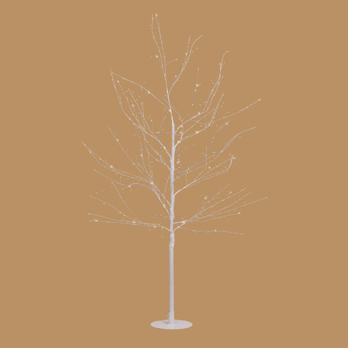 White Willow Tree - 120 cm