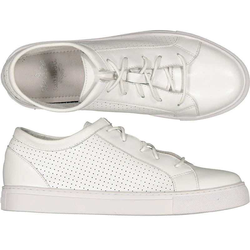 Bandit - White Perforated