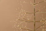 Arctic Birch Seed Light Tree - Medium - Champagne