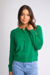 Mimi Cardi / Parakeet